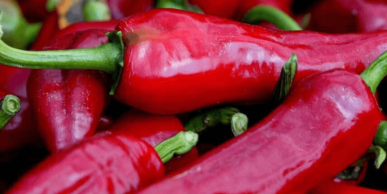 Foto de un bote de champú en manos de una mujer