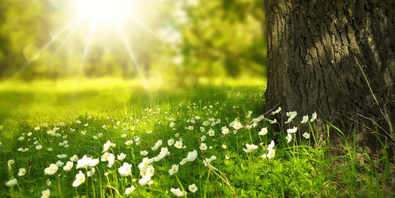 Foto de un bote de champú en manos de una mujer