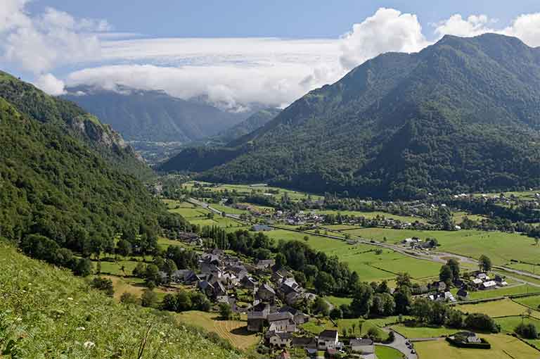 Foto de un bote de champú en manos de una mujer